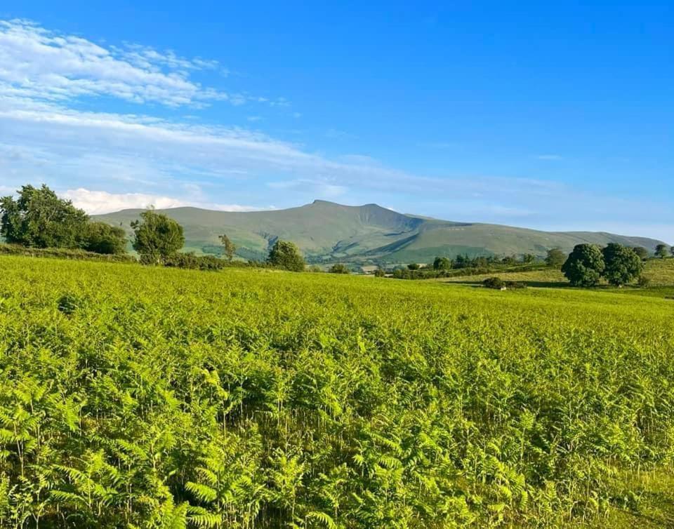 Little Cottage Of The Beacons Brecon Exterior photo